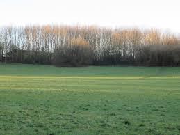 フライエント・カントリー・パーク